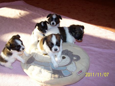 100_5965.jpg 100_5965.jpg