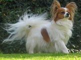 romea1.jpg romea1.jpg